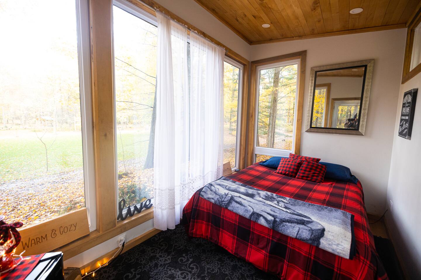 Adler Cabin — forest setting