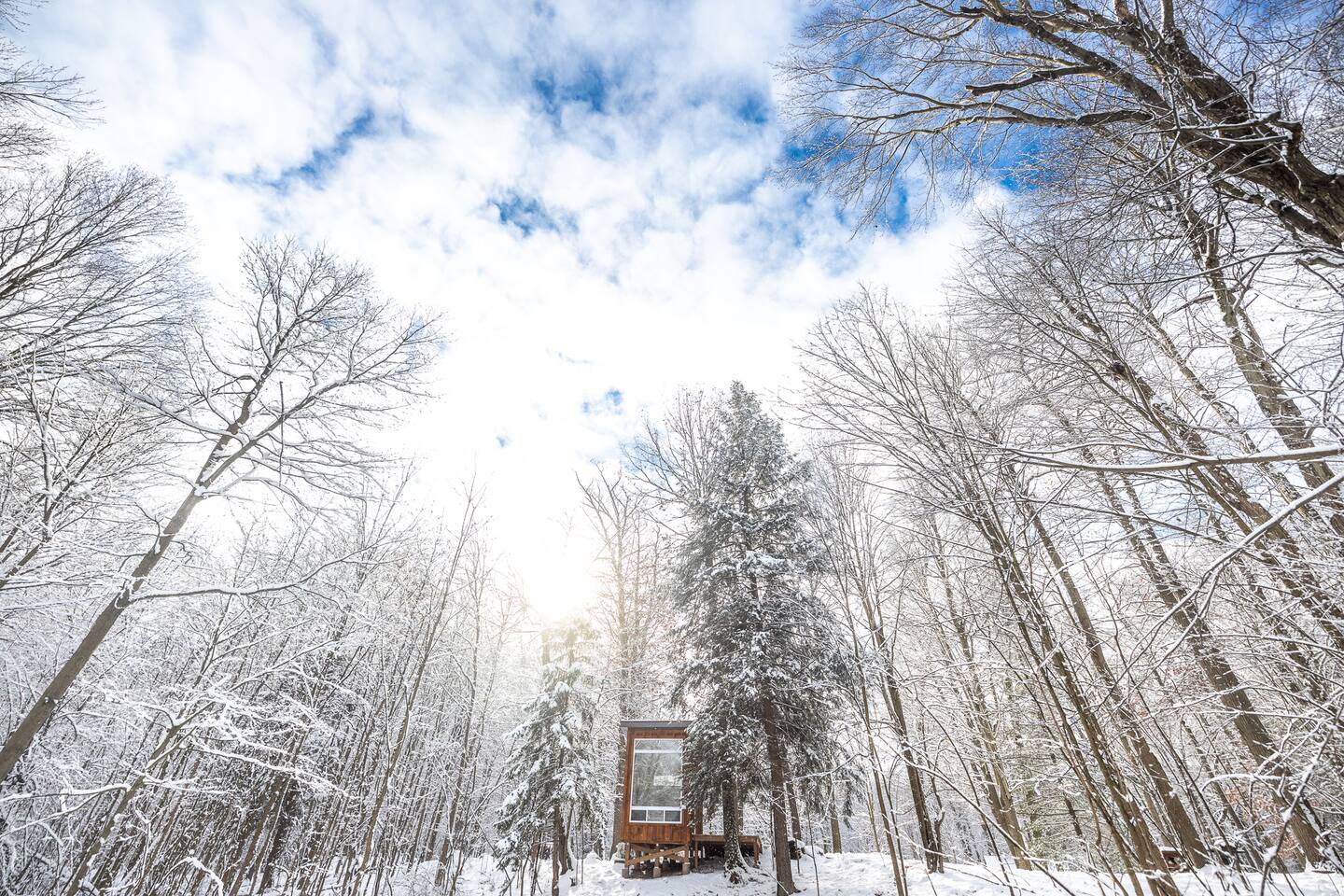 Bracken Cabin — interior view