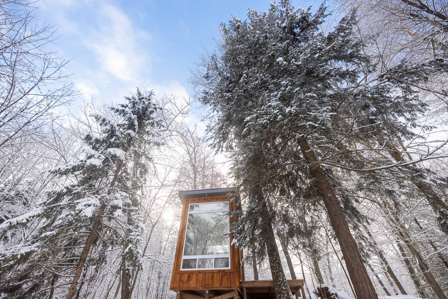 Bracken Cabin — details