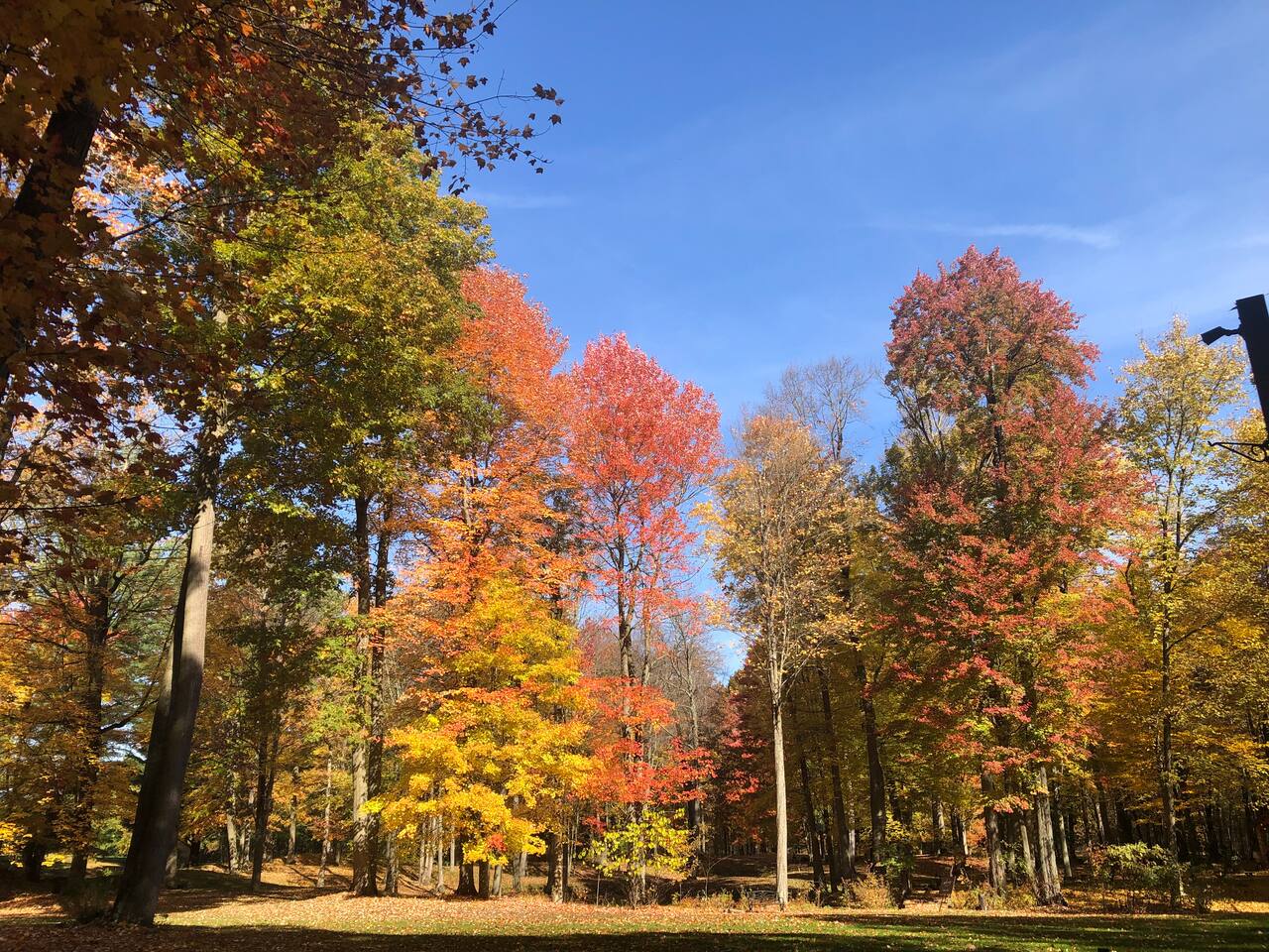 The property in October